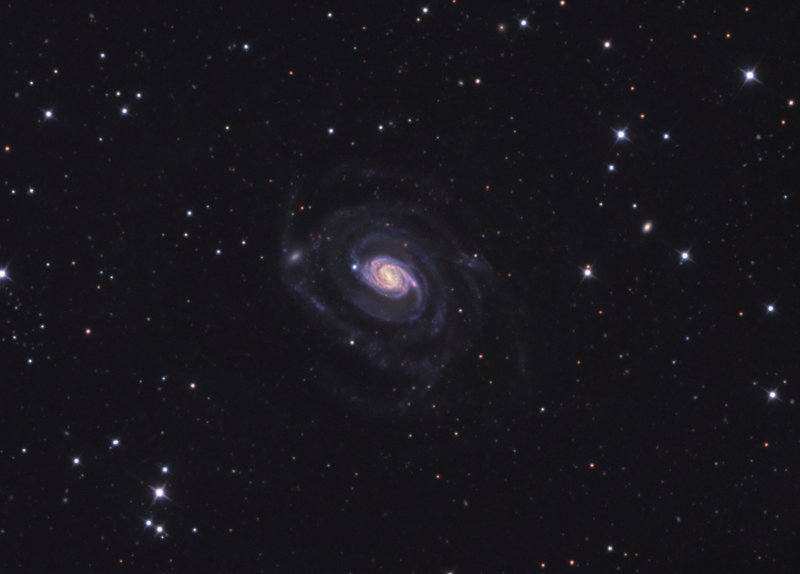 NGC 289 in Sculptor