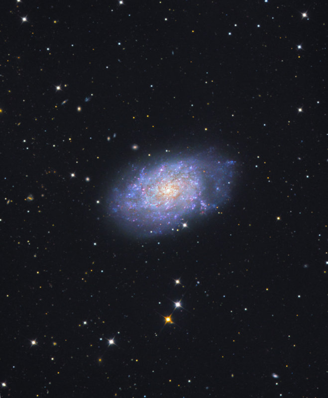 NGC 7793 in Sculptor Close up