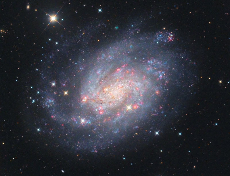 NGC 300 (close crop)