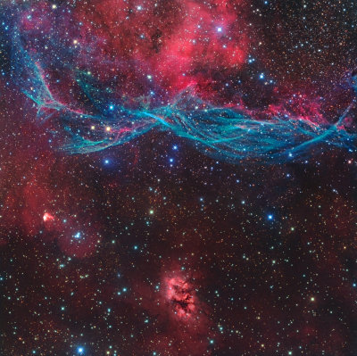 First Place - The Moustache Nebula (Vela SNR)
