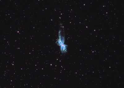 The Bug Nebula