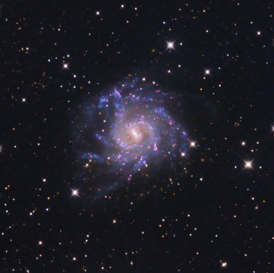 NGC 7424 in Grus