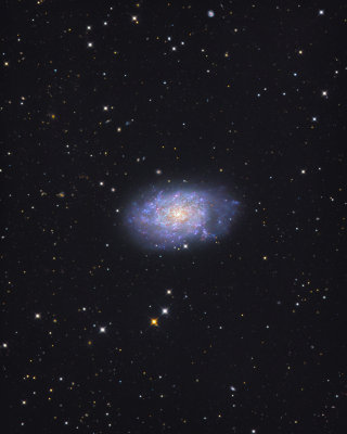 NGC 7793 in Sculptor