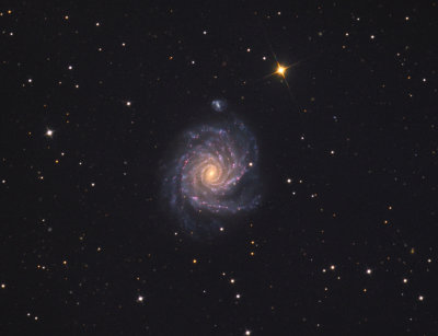 NGC 1232 Close Crop