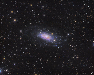 NGC 3621 in Hydra