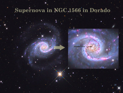 NGC 1566 The Spanish Dancer & A Supernova