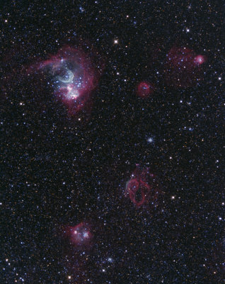 N86 The Lionel Murphy Nebula