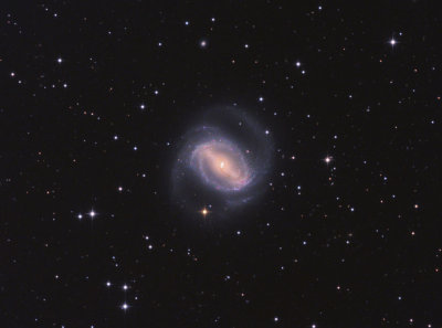 NGC 1433 in Horologium