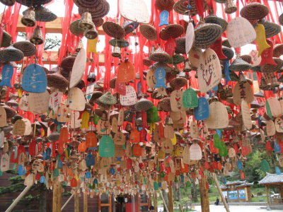 Lijiang - Monts du Dragon de Jade