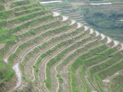 Longsheng - 19.jpg