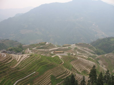 Longsheng - 20.jpg