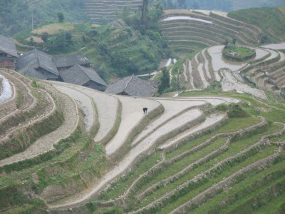 Longsheng - 21.jpg
