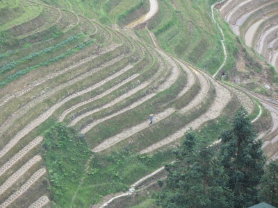 Longsheng - 22.jpg