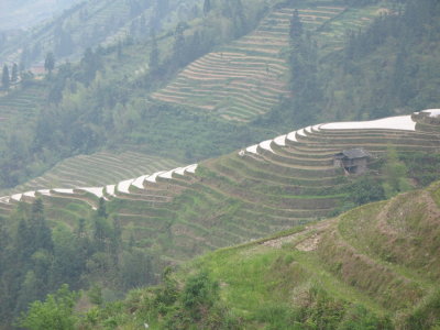 Longsheng - 24.jpg