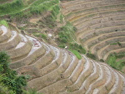 Longsheng - 39.jpg