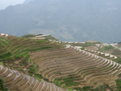 Longsheng - 41.jpg