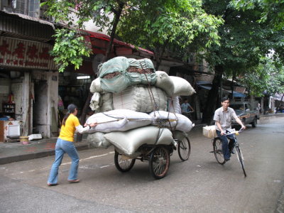 Canton (Guangzhou) - Qingping market