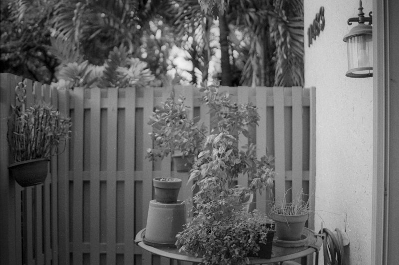 Testing outdated cine stock (circa 1999)