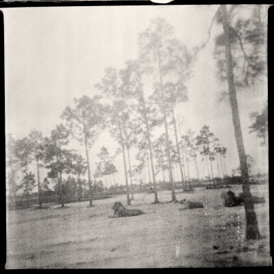 image from the roll of Ansco 620 film