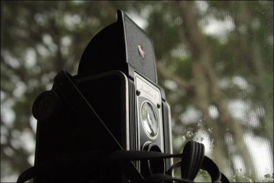 620 Ansco film found exposed in Kodak Duaflex camera