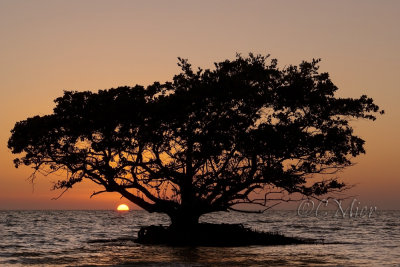 Sunset on Tiger Key