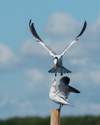 On Target