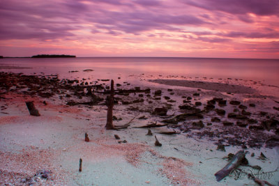 Low Tide 2