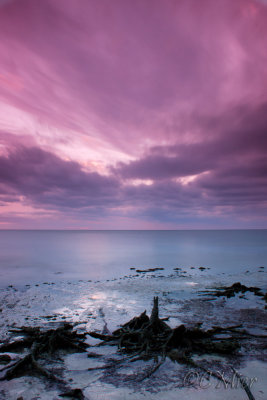 Low Tide 3