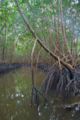 DSC04637.jpg
