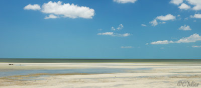 Low Tide Pano