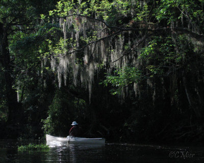 Canoeing the rivers of Florida