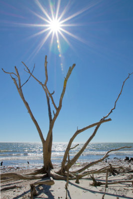 Reach the Sun
