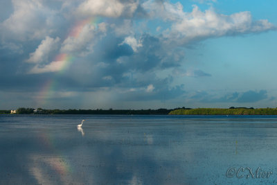 Rainbow On the Flats