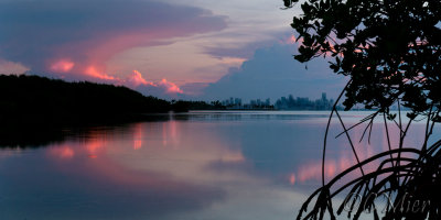 Miami Summer Morning