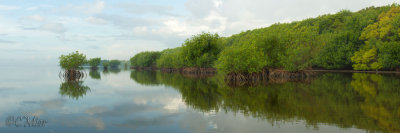 The Western Shoreline