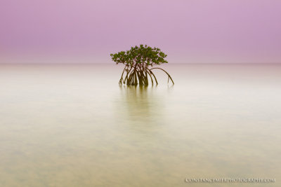 Alone in the Water