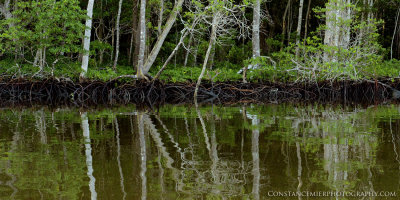 Turner River