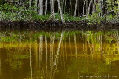 Turner River