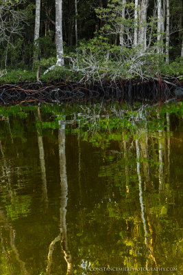 Turner River