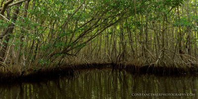Gopher Creek