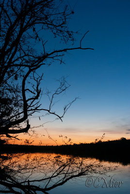 Waterscape From Land