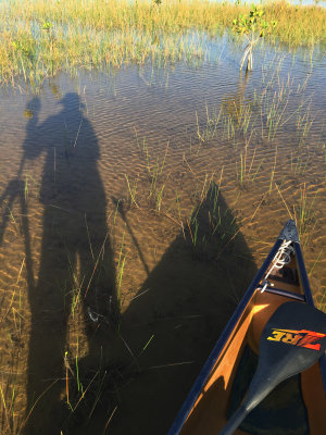 Exploring the Everglades By Canoe