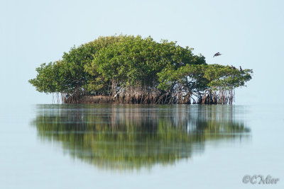 An Island