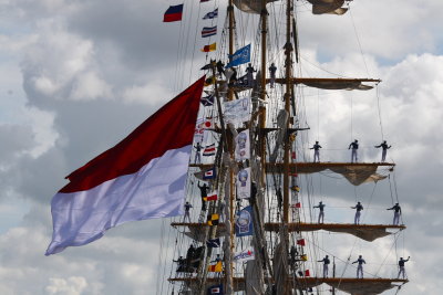 Sail Amsterdam 2010