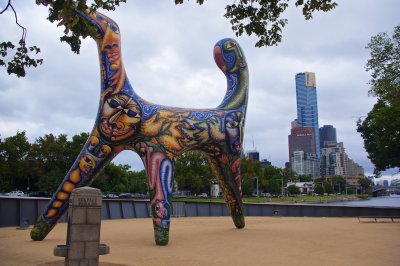 IMGP1374.jpg