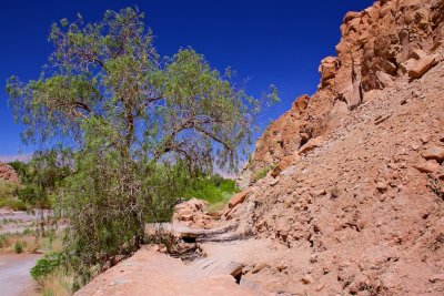 San Pedro de Atacama