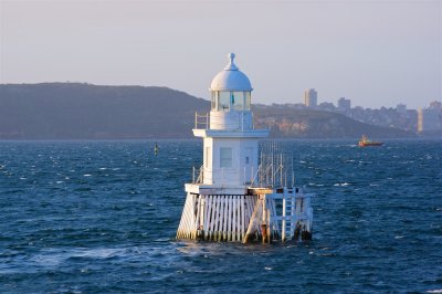 IMGP0512.jpg