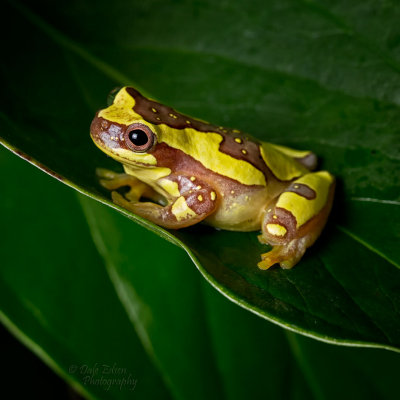 053013-044-web.jpg