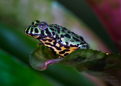 053013-053-web.jpg