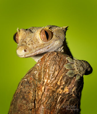053013-085-web.jpg